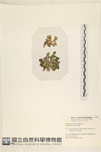 登錄號:A00002660藏品圖，第3張