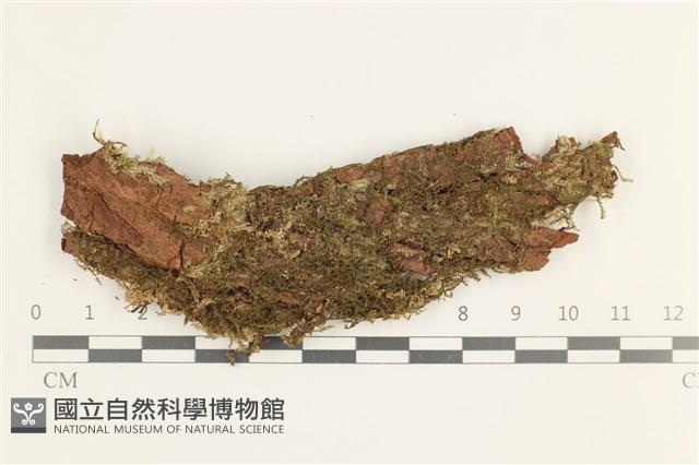 登錄號:B00019660藏品圖，第1張