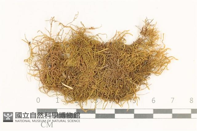 登錄號:B00009660藏品圖，第1張