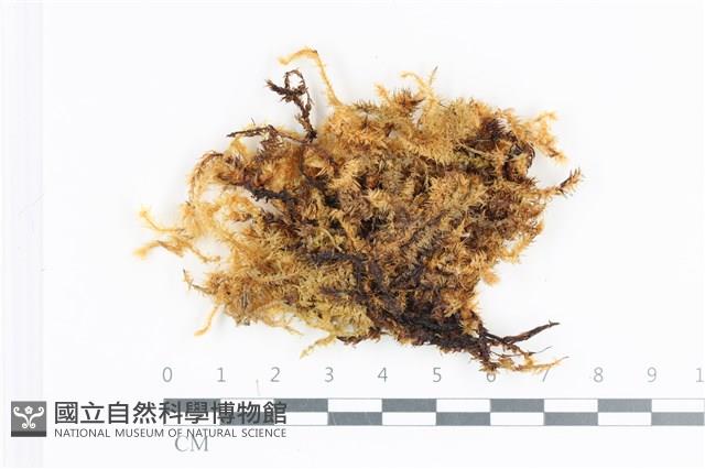 登錄號:B00016660藏品圖，第1張