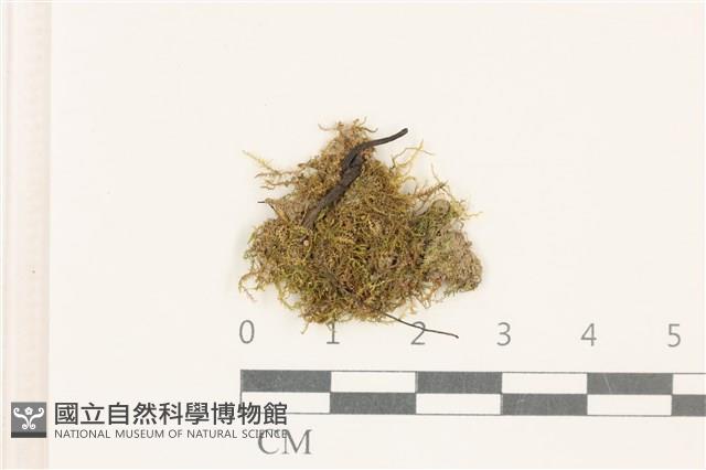 登錄號:B00014660藏品圖，第1張