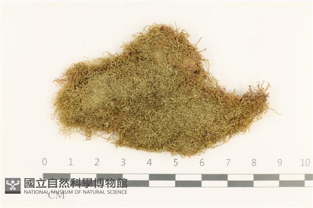 登錄號:B00004560藏品圖，第1張