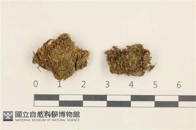 登錄號:B00014460藏品圖，第1張