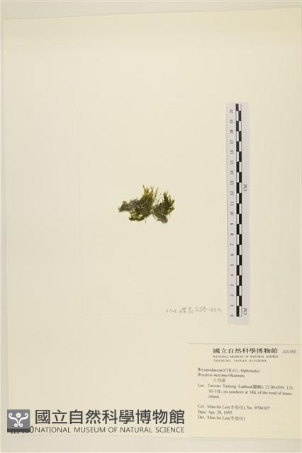 Accession Number:A00001460 Collection Image, Figure 3, Total 3 Figures