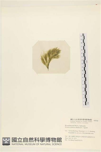 登錄號:A00005360藏品圖，第3張