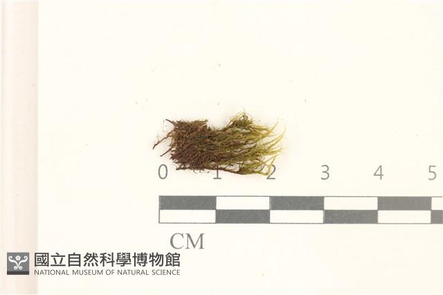 登錄號:B00017760藏品圖，第1張