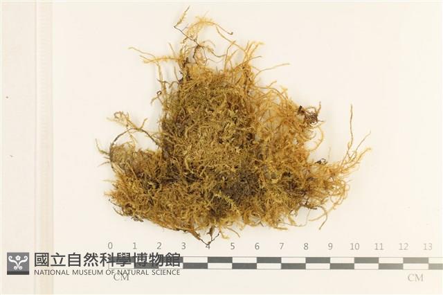 登錄號:B00000760藏品圖，第1張