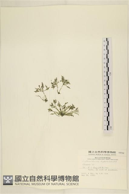 登錄號:A00000760藏品圖，第3張