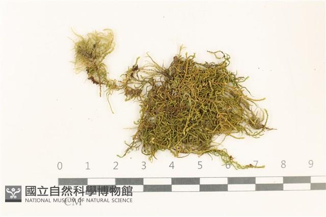 登錄號:B00015600藏品圖，第1張
