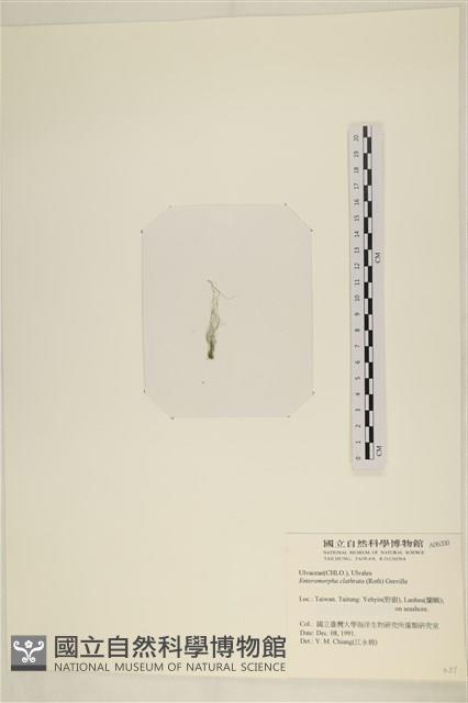 登錄號:A00006200藏品圖，第3張