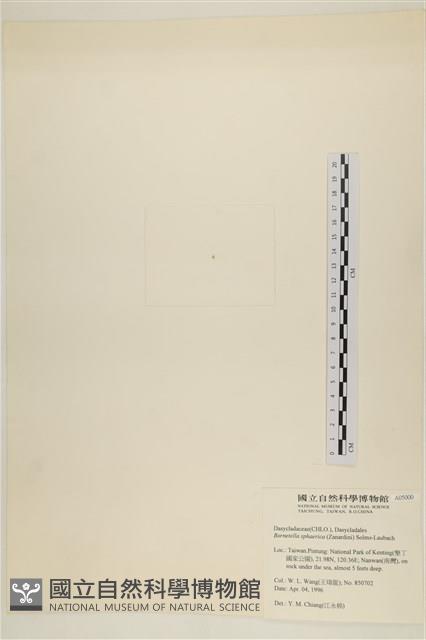 登錄號:A00005000藏品圖，第3張