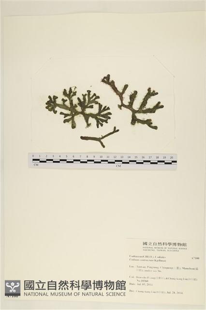 登錄號:A00007100藏品圖，第1張