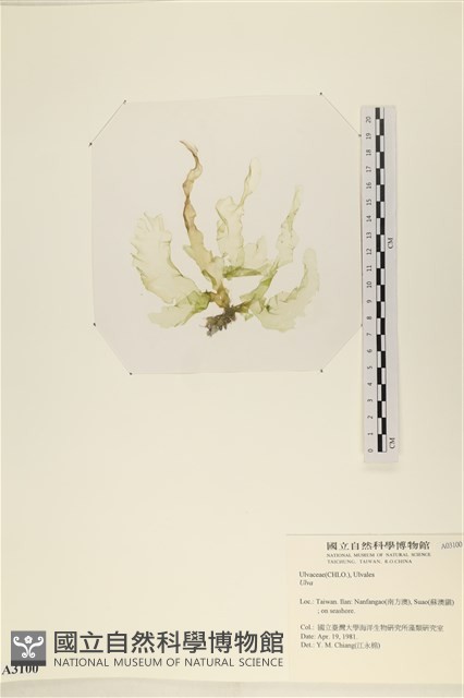 登錄號:A00003100藏品圖，第3張