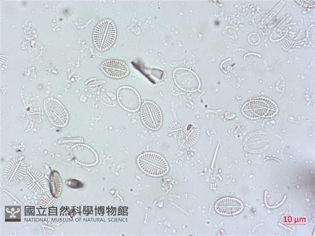 登錄號:A00004500藏品圖，第3張