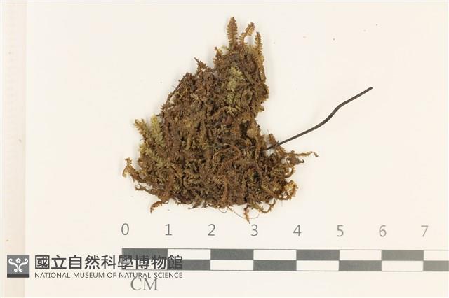 登錄號:B00002400藏品圖，第1張