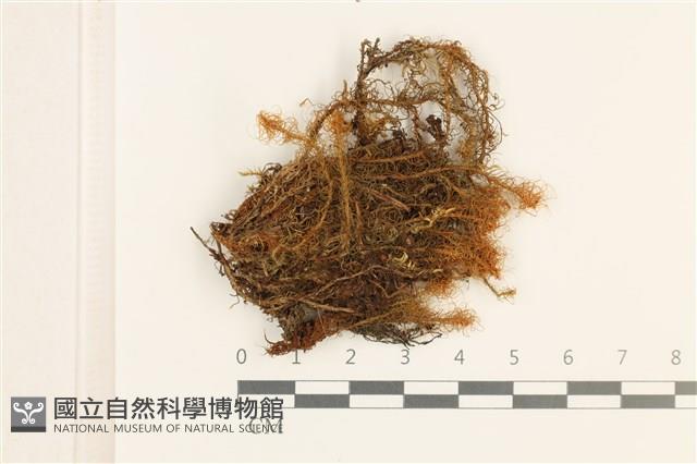 登錄號:B00018400藏品圖，第1張