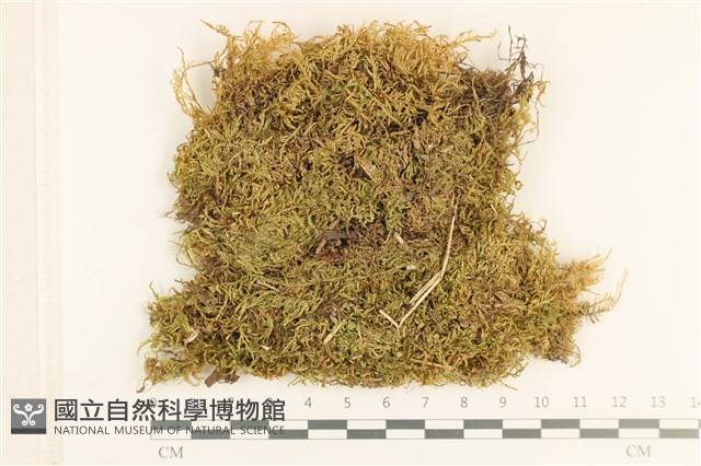 登錄號:B00008400藏品圖，第1張