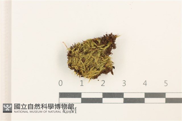 登錄號:B00006400藏品圖，第1張