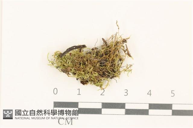 登錄號:B00017400藏品圖，第1張