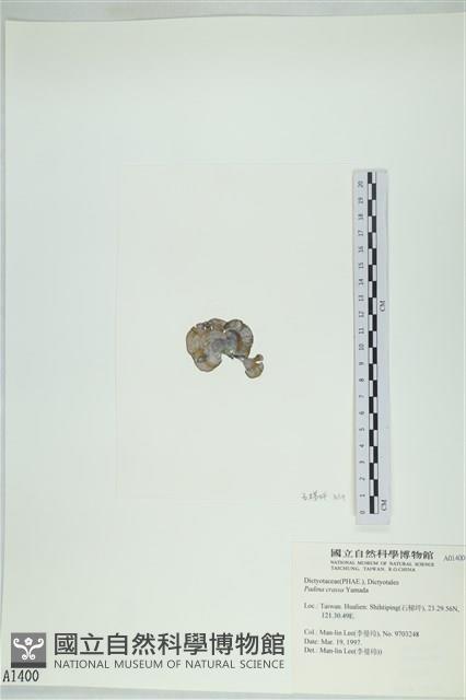 登錄號:A00001400藏品圖，第3張