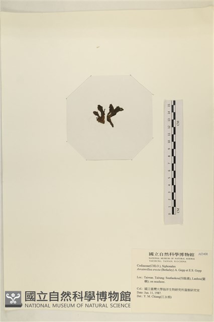 登錄號:A00003400藏品圖，第3張