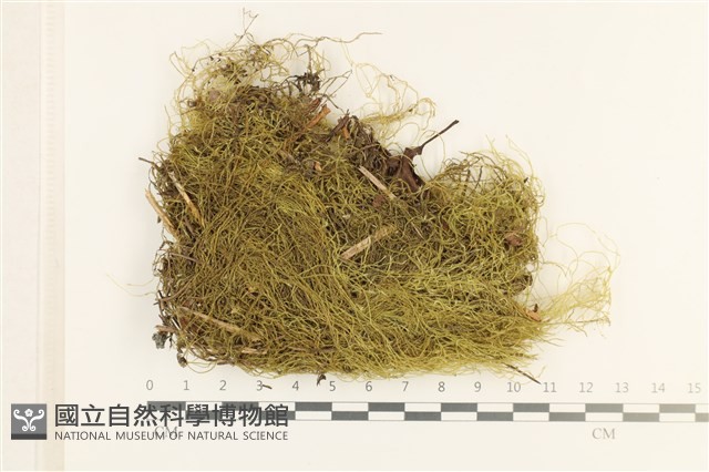 登錄號:B00008300藏品圖，第1張