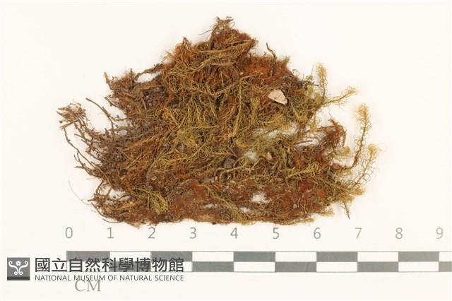 登錄號:B00008680藏品圖，第1張