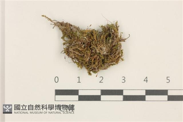 登錄號:B00016680藏品圖，第1張