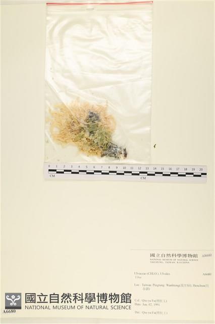 登錄號:A00006680藏品圖，第1張