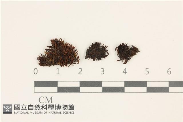 登錄號:B00004680藏品圖，第1張