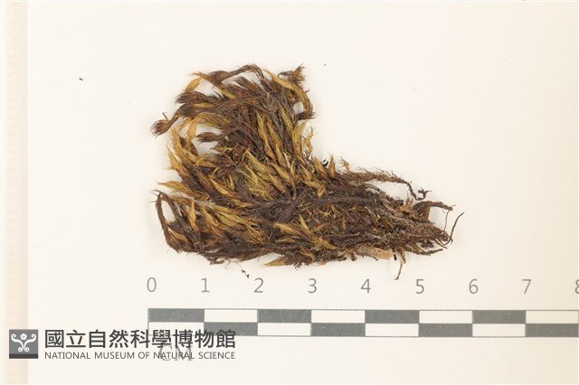 登錄號:B00009280藏品圖，第1張