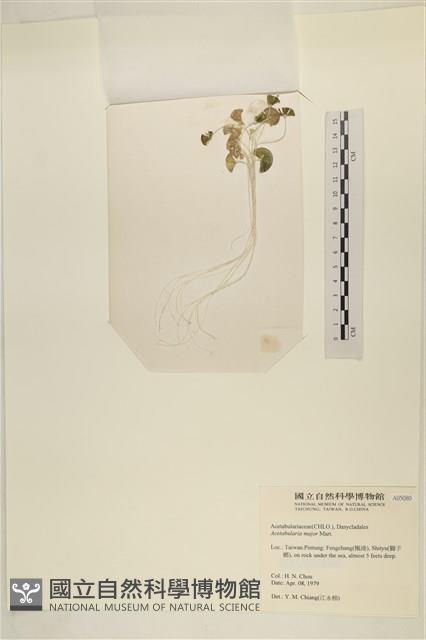 登錄號:A00005080藏品圖，第3張