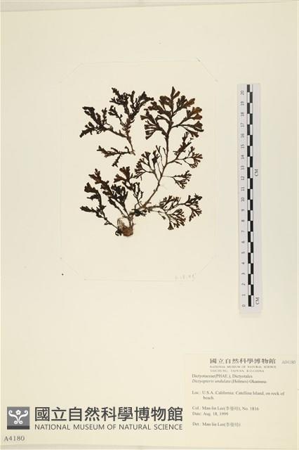 館號:A00004180藏品圖，第1張