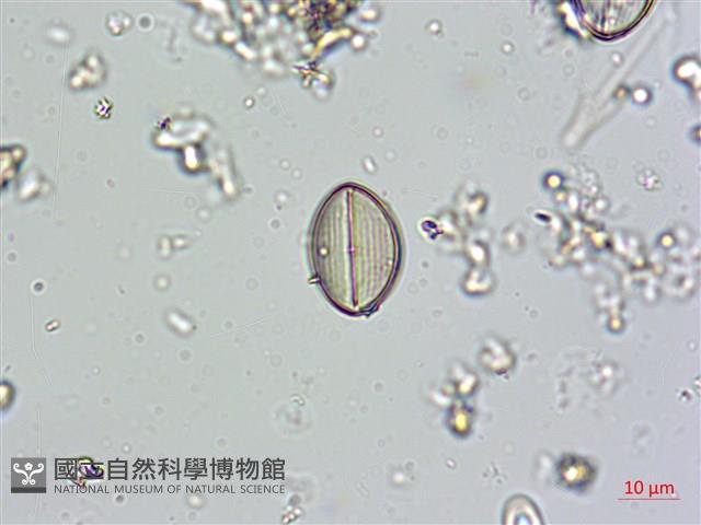 登錄號:A00004580藏品圖，第3張