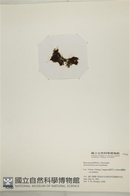 登錄號:A00002480藏品圖，第3張