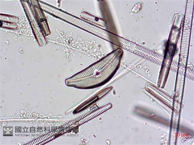 登錄號:A00004480藏品圖，第3張