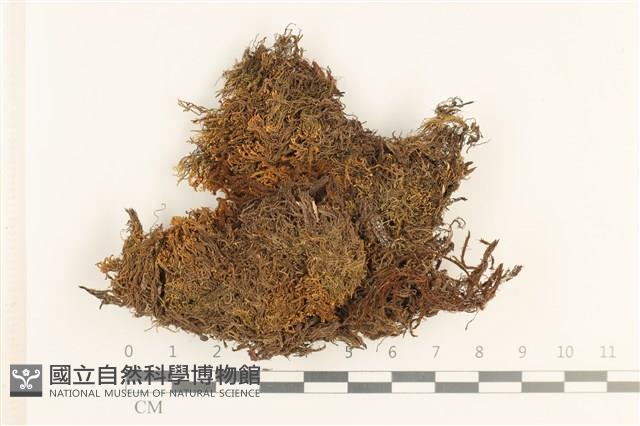 登錄號:B00008380藏品圖，第1張