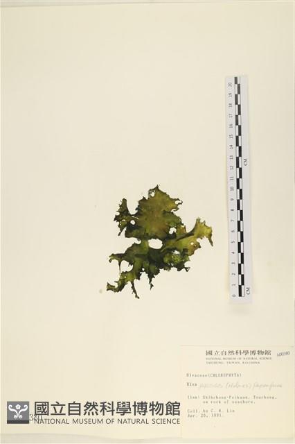 登錄號:A00000380藏品圖，第3張