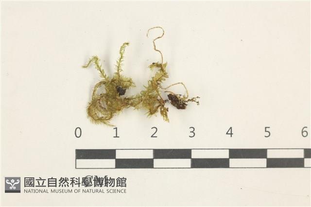 Accession Number:B00001780 Collection Image, Figure 1, Total 2 Figures