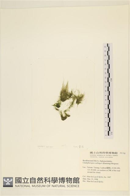 登錄號:A00001780藏品圖，第3張