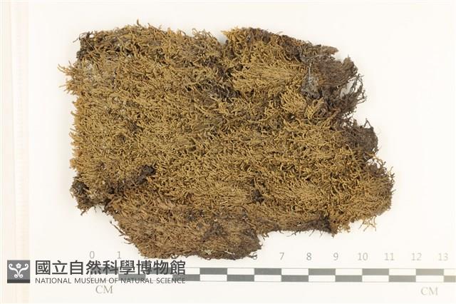 登錄號:B00000780藏品圖，第1張