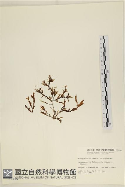 登錄號:A00000780藏品圖，第3張