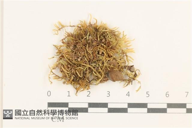 登錄號:B00017633藏品圖，第1張