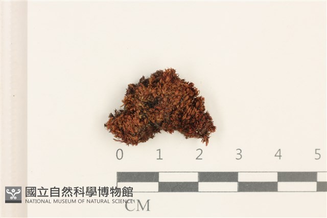 Accession Number:B00009133 Collection Image, Figure 1, Total 2 Figures