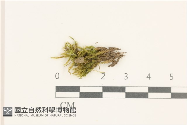 登錄號:B00015133藏品圖，第1張