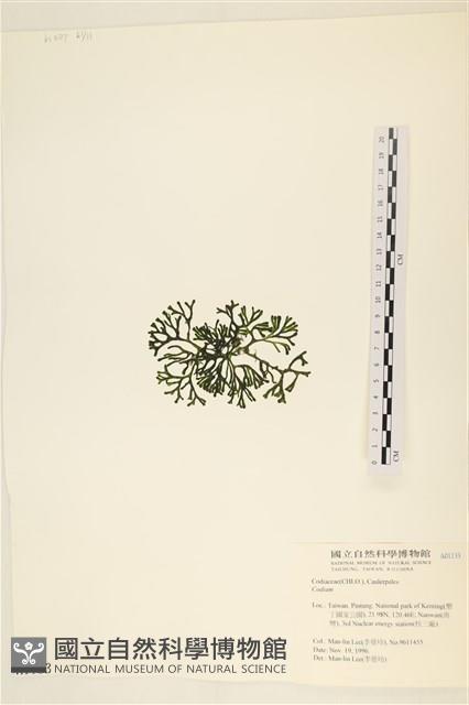 登錄號:A00001133藏品圖，第3張