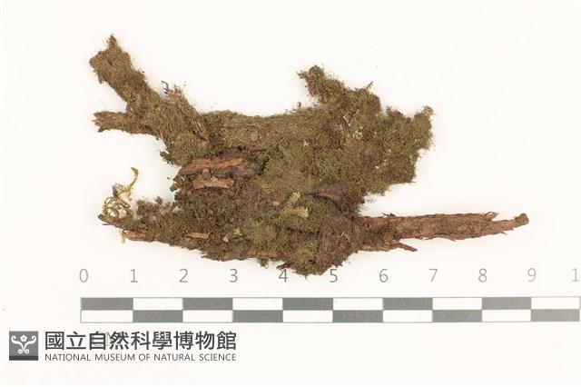 登錄號:B00019533藏品圖，第1張