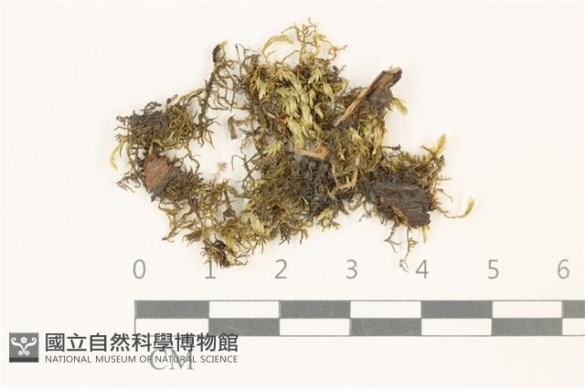 登錄號:B00009533藏品圖，第1張