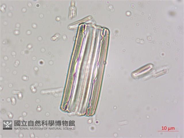 登錄號:A00004533藏品圖，第4張
