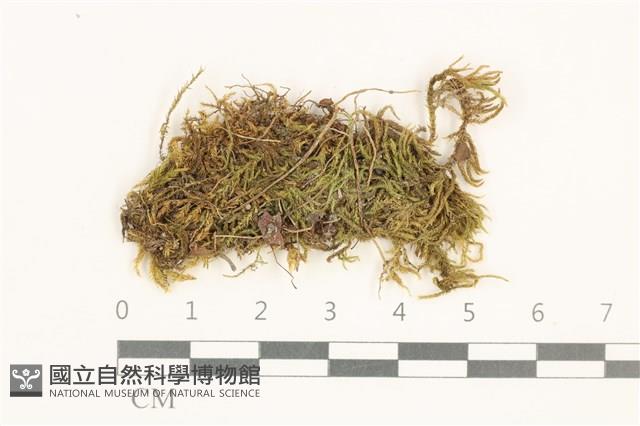 登錄號:B00015533藏品圖，第1張